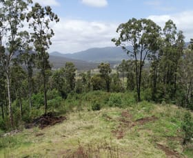 Rural / Farming commercial property for sale at 173 Knodingbul Forest Road Mount George NSW 2424
