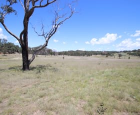 Rural / Farming commercial property for sale at 187 Roos Road Tenterfield NSW 2372