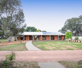 Rural / Farming commercial property for sale at 780 River Road Kialla East VIC 3631