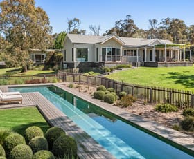 Rural / Farming commercial property for sale at 146 McIlroys Road Red Hill VIC 3937