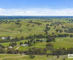 Rural / Farming commercial property for sale at 465 Watchbox Road Glenhope VIC 3444