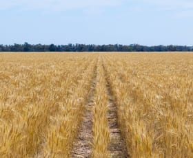 Rural / Farming commercial property sold at Haddington, 647 Sandy Camp Road Quambone NSW 2831