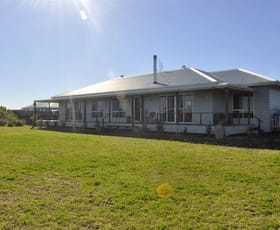 Rural / Farming commercial property for sale at Old Condamine Road Dalby QLD 4405