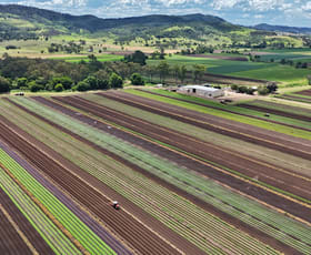 Rural / Farming commercial property for sale at Mulgowie QLD 4341