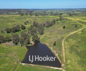 Rural / Farming commercial property for sale at 294 & 106/ Attwood Road Lowden WA 6240