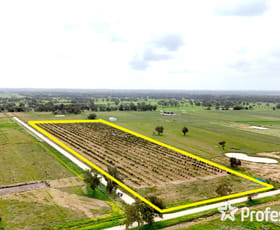 Rural / Farming commercial property for sale at Lot 15 Hull Road Harvey WA 6220