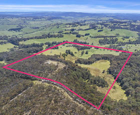 Rural / Farming commercial property for sale at Hampton NSW 2790