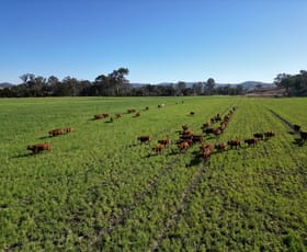 Rural / Farming commercial property sold at 243 Oakfield Road Tansey QLD 4601