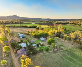 Rural / Farming commercial property for sale at 110 East Stallman Road Aratula QLD 4309