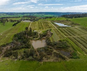 Rural / Farming commercial property for sale at 134 Taradale Road Courabyra NSW 2653
