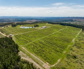Rural / Farming commercial property for sale at 318 Berry Road Rosewood NSW 2652