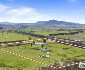 Rural / Farming commercial property for sale at Lot 11B Box Cutting Rise Beaufort VIC 3373