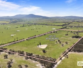 Rural / Farming commercial property for sale at Lot 11C Box Cutting Rise Beaufort VIC 3373