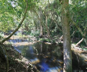 Rural / Farming commercial property for sale at Part 1635 Lorne Road Kerewong NSW 2439