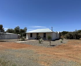 Rural / Farming commercial property for sale at "Peechara Hills East Barrier Hwy Nackara SA 5440