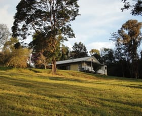 Rural / Farming commercial property sold at 1566 Colling Rd Elands NSW 2429
