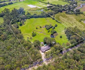 Rural / Farming commercial property for sale at 310 Dicksons Road Jilliby NSW 2259