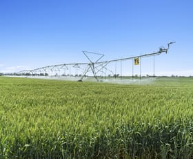 Rural / Farming commercial property for sale at 153 Boundary Road Mundoona VIC 3635