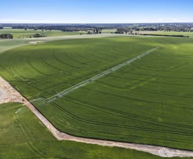 Rural / Farming commercial property for sale at 153 Boundary Road Mundoona VIC 3635
