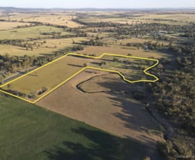 Rural / Farming commercial property sold at "Creekview" Newell Highway Alectown NSW 2870