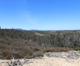 Rural / Farming commercial property for sale at 307 Quilty Road Wog Wog NSW 2622