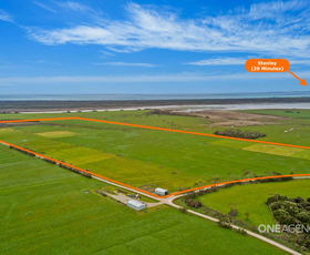 Rural / Farming commercial property for sale at 1 Bootes Road Scopus TAS 7330