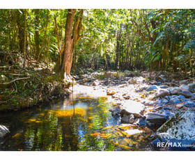 Rural / Farming commercial property for sale at 1900 Maleny Stanley River Road Booroobin QLD 4552