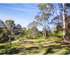 Rural / Farming commercial property for sale at 1900 Maleny Stanley River Road Booroobin QLD 4552