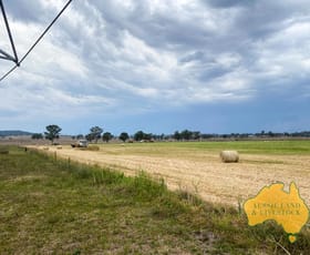 Rural / Farming commercial property for sale at 95 Monto Mount Perry Road Tellebang QLD 4630