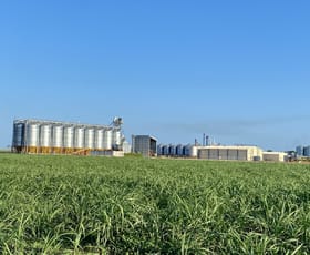 Rural / Farming commercial property for sale at 20 Colevale Road Brandon QLD 4808