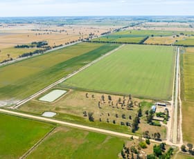 Rural / Farming commercial property for sale at 87 Pine Lodge Road Tocumwal NSW 2714