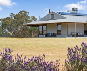 Rural / Farming commercial property for sale at 42 Townsing Lane Amphitheatre VIC 3468