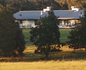 Rural / Farming commercial property for sale at 42 Townsing Road Amphitheatre VIC 3468