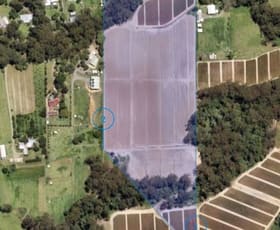 Rural / Farming commercial property for sale at Beerwah QLD 4519