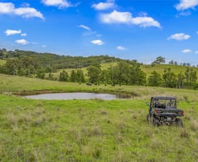 Rural / Farming commercial property for sale at Carrowbrook Road Mount Olive Singleton NSW 2330