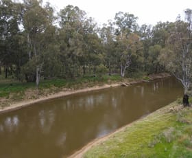 Rural / Farming commercial property for sale at 303 North Condobolin Road Warroo NSW 2871