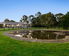 Rural / Farming commercial property for sale at 70 Dalls Road Whittlesea VIC 3757