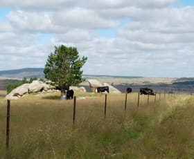 Rural / Farming commercial property for sale at 441 Bulgundara Road Dalgety NSW 2628