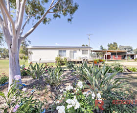 Rural / Farming commercial property sold at 211L Mogriguy Road Eumungerie NSW 2822