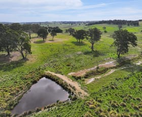Rural / Farming commercial property for sale at 680 Kangaloolah Road Binda NSW 2583