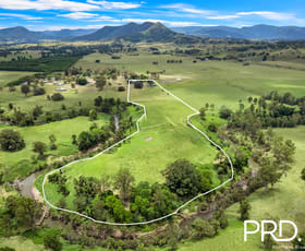 Rural / Farming commercial property for sale at 117 Homestead Road Kilgra NSW 2474