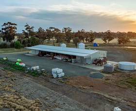 Rural / Farming commercial property for sale at 1000 Webb Road Timmering VIC 3561