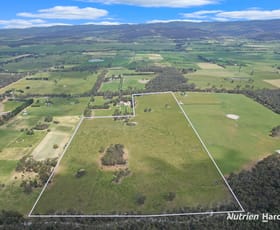 Rural / Farming commercial property for sale at 5315 Hyland Highway Won Wron VIC 3971