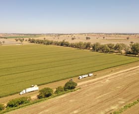 Rural / Farming commercial property for sale at 69 Ercildoune Lane South Forbes NSW 2871