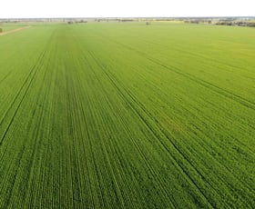 Rural / Farming commercial property sold at Wirrinya NSW 2871