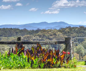 Rural / Farming commercial property for sale at Dorrigo NSW 2453