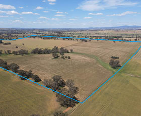Rural / Farming commercial property for sale at 1 Tremains Lane Toogong NSW 2864