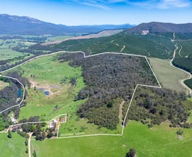 Rural / Farming commercial property for sale at 55 Merri Meadows Lane Merriang South VIC 3737