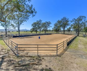 Rural / Farming commercial property for sale at 1146 Munbilla Road Milora QLD 4309