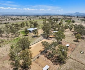 Rural / Farming commercial property for sale at 1146 Munbilla Road Milora QLD 4309